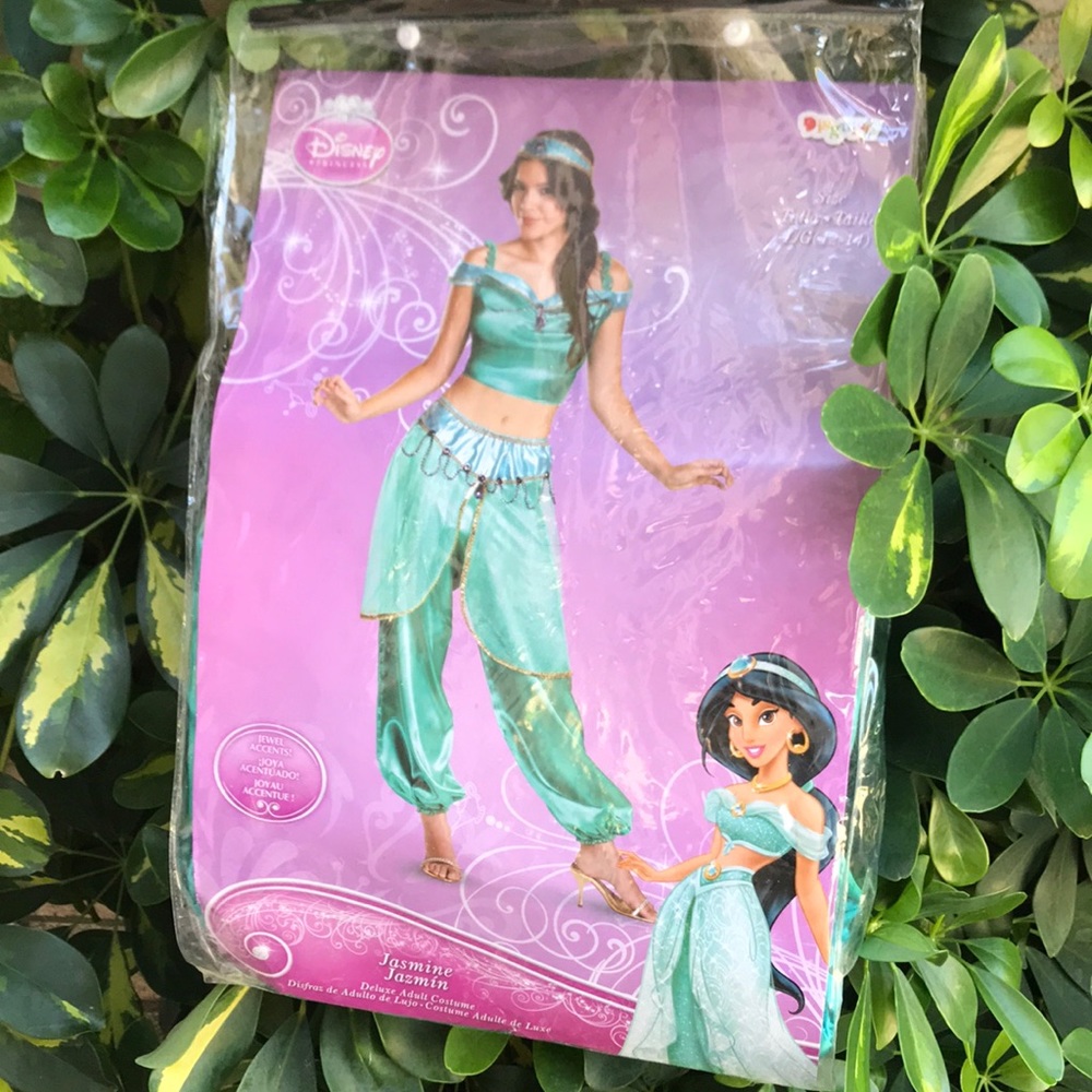 Princess Jasmine Adult Costume🧞‍♂️